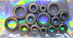 Evolution Xray XB2 24/25 Ceramic Bearing Kit (14pcs)