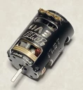 Team Zombie Evolution Pro Spec 17.5T Brushless Motor - M-TZ-EVO175T